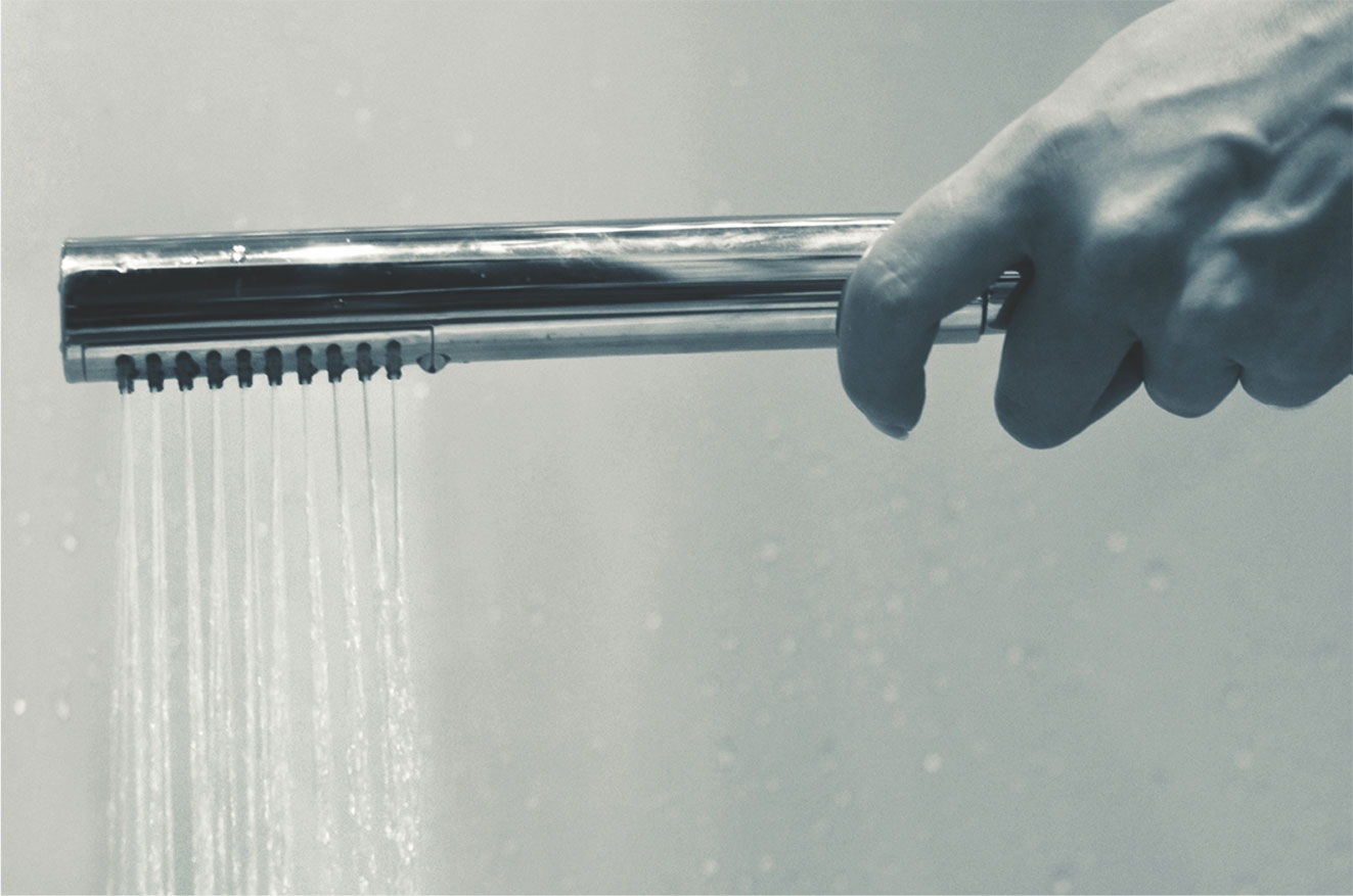 Brass Telephonic Shower