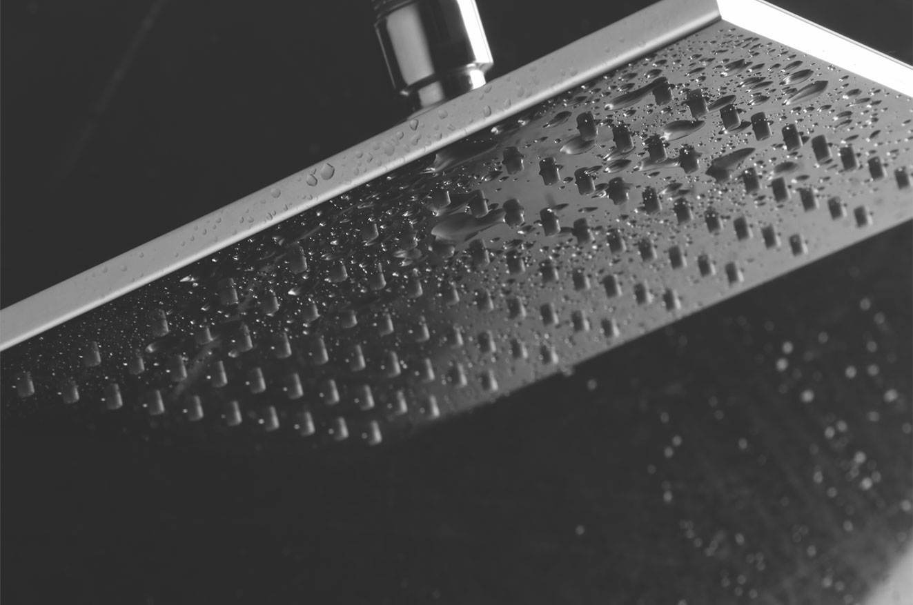 Noble Brass Overhead Shower